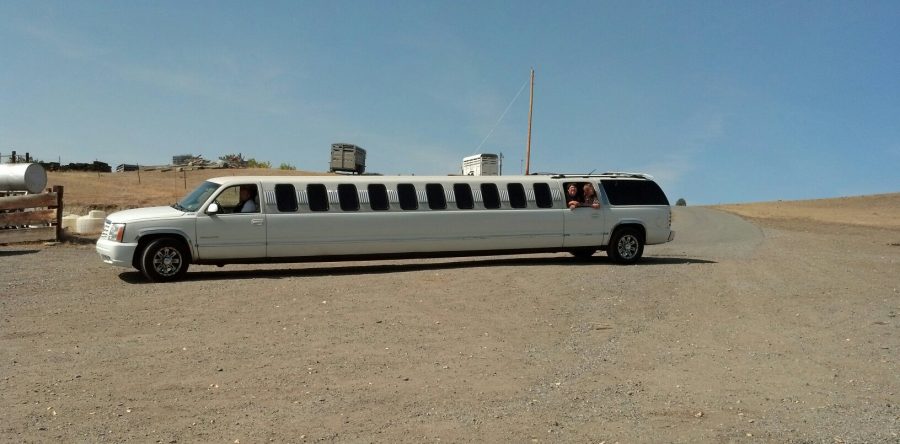 BCO hosts Make-a-Wish Foundation