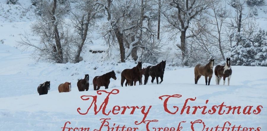 Merry Christmas from Bitter Creek Outfitters!